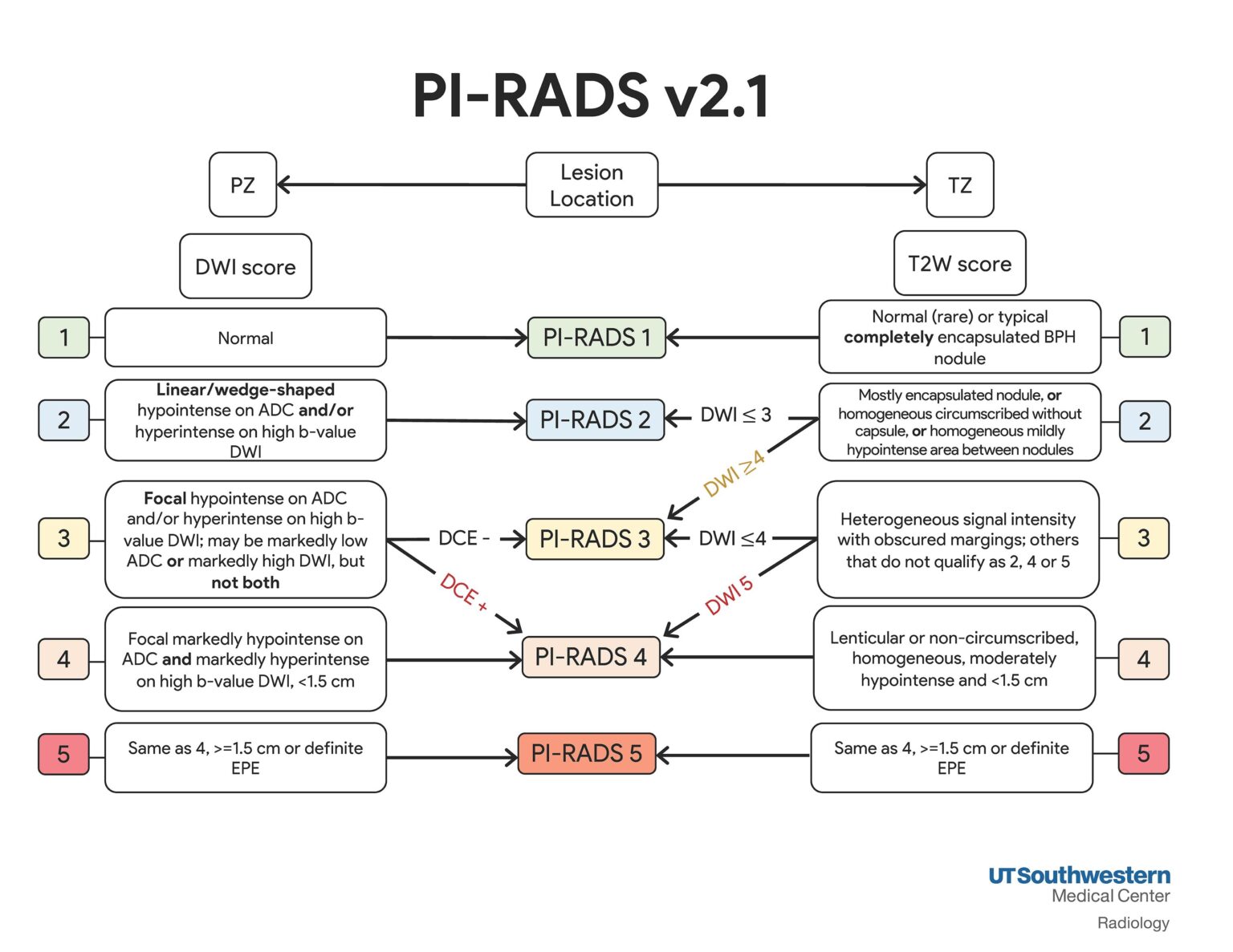 Pi Rads Score 3 Leitlinien PIRADS III BESQY Pi Rads Score 3 Leitlinien PIRADS III BESQY